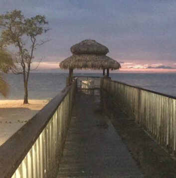 Paradise Paradise
